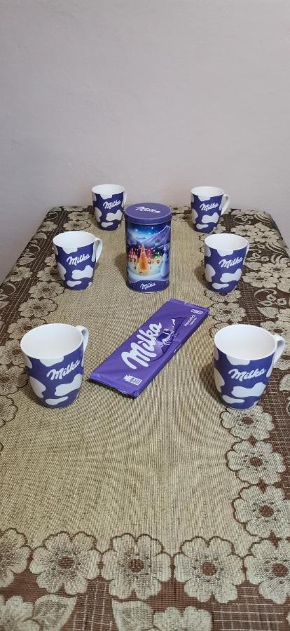Apartament Milka W Dusznikach Zdroju Duszniki Zdroj Ngoại thất bức ảnh